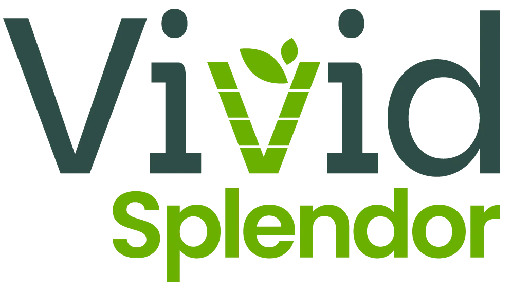 vividsplendor.com